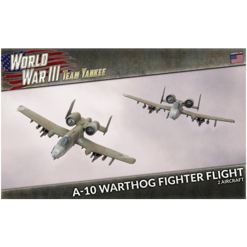 A-10 Warthog Fighter Flight